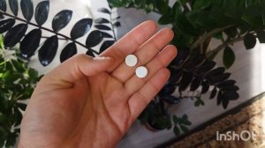 Чем подкормить замиокулькас, для мощных листьев.#замиокулькас #доллоровоедерево