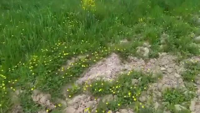 Муж подруги|Интересные истории из жизни. смотреть онлайн