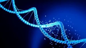 Матрица Горяева ДНК