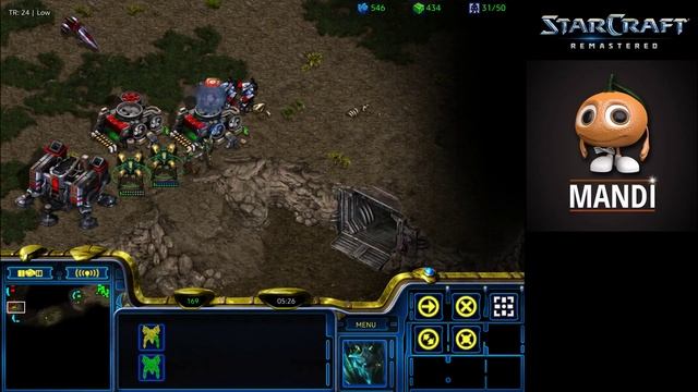 mandi vs damarcan pvp pvt fs python смотреть онлайн