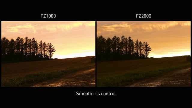 Introducing LUMIX FZ2000/FZ2500 Video Performance I смотреть онлайн