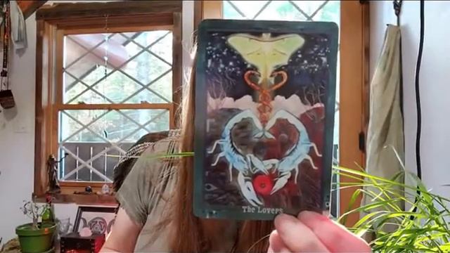 Guardian of the Night Tarot Review смотреть онлайн