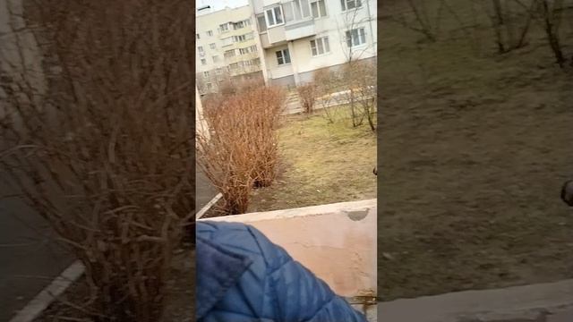 эпический я часть 1