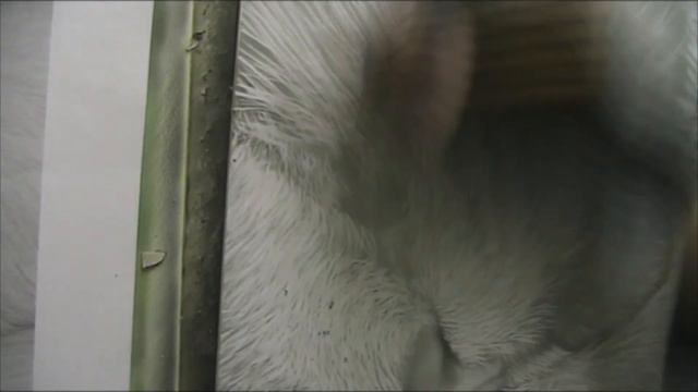 Котейка. Часть вторая. смотреть онлайн