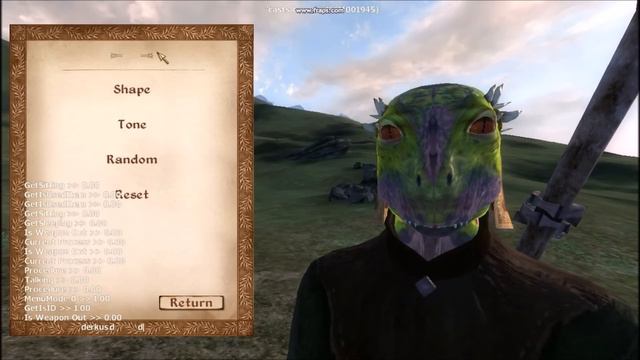 Oblivion How To Make Your Own Follower Without Mods!