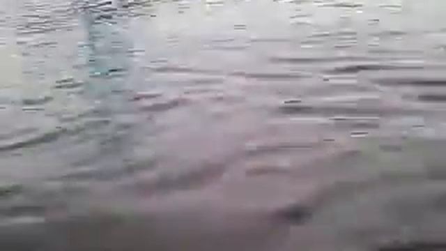 Спасение инвалида в Лиде. смотреть онлайн