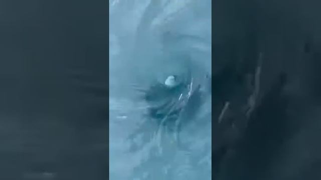 озера Балхаш Казахстан!!! смотреть онлайн