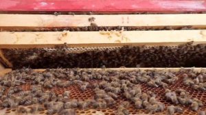 Как усилить слабую семью? Развитие слабой семьи до полноценной сильной.