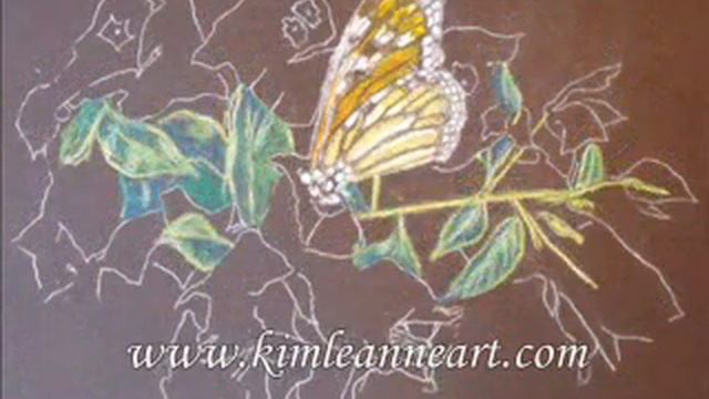 oil pastel butterfly on bougainvillea смотреть онлайн