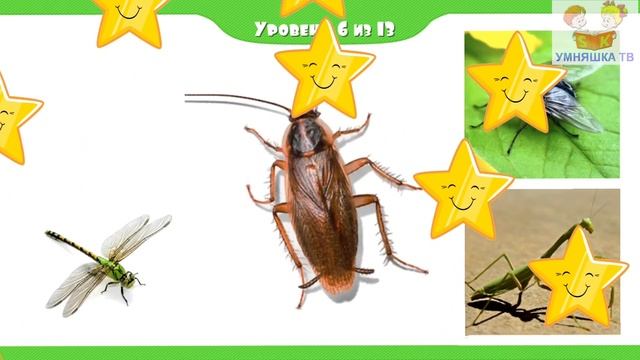 НАСЕКОМЫЕ для малышей // ЗВУКИ НАСЕКОМЫХ // Учим насекомых ДЛЯ ДЕТЕЙ смотреть онлайн