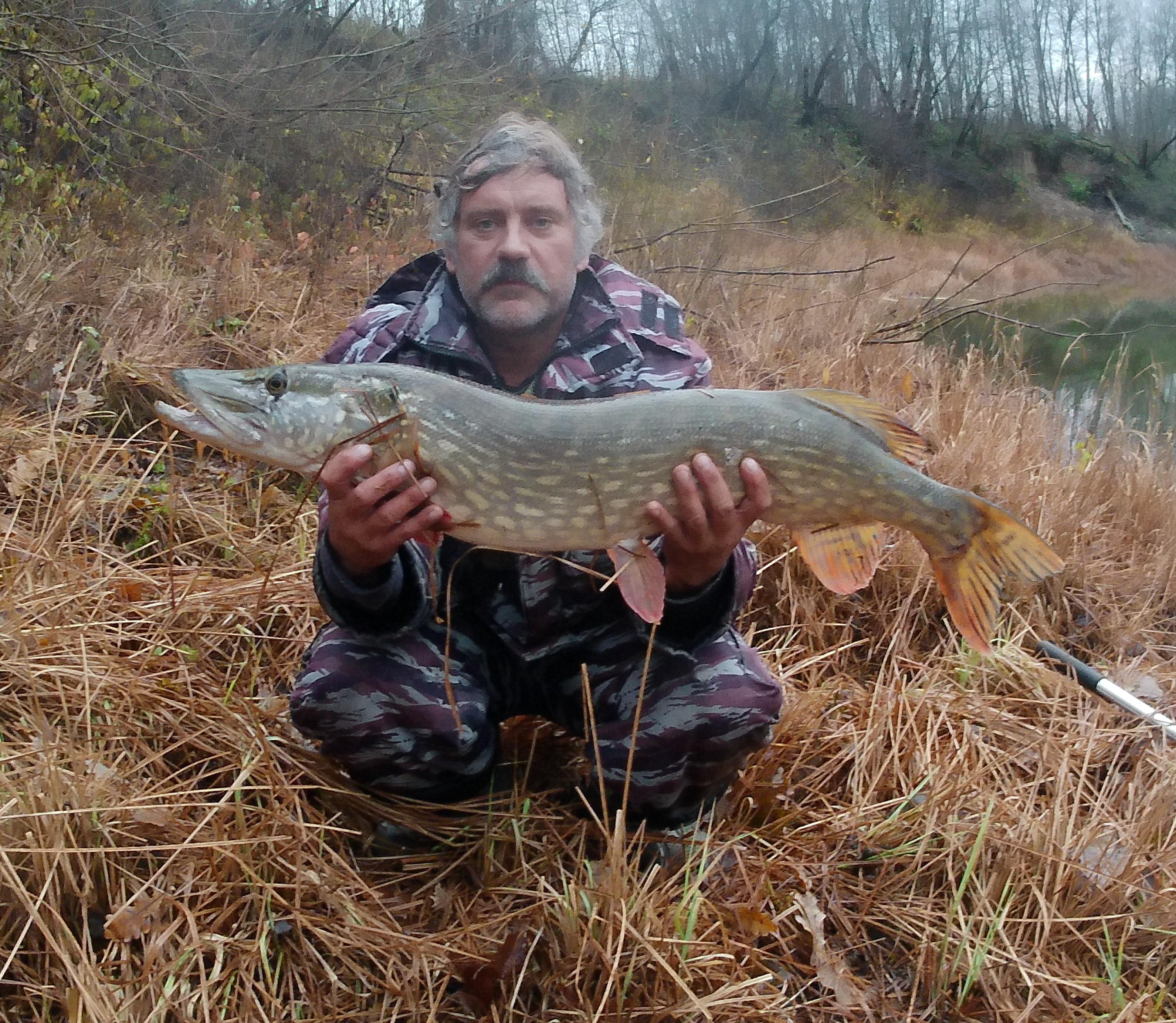 Осень 2023 (12) - р. Днепр (эпизод 3 - интересная рыбёшка!)