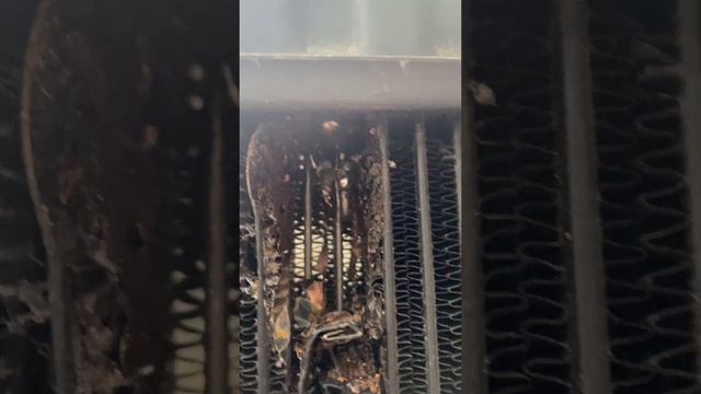 Работа над ошибками: радиатор системы охлаждения двигателя |как запаять радиатор смотреть онлайн