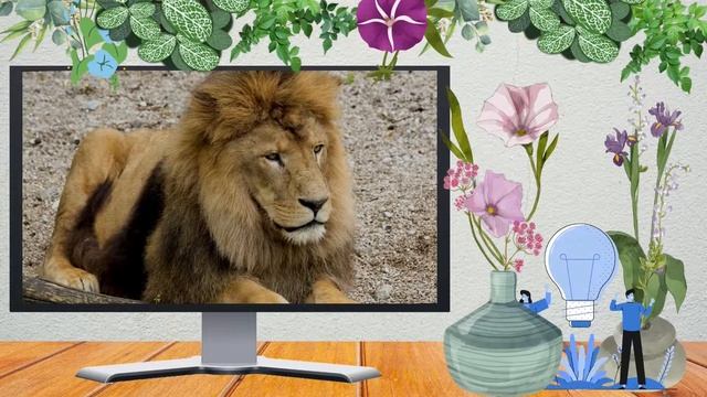 funny personality test questions and answers смотреть онлайн