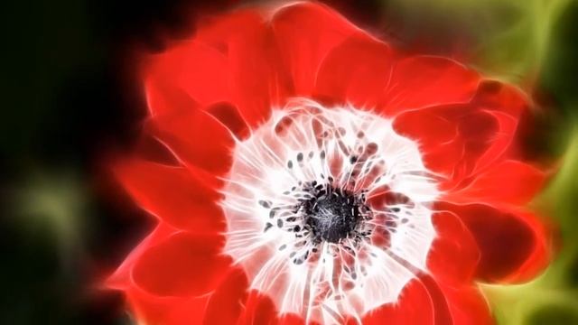 Photoshop Fractalius (Ico -You Were There) смотреть онлайн