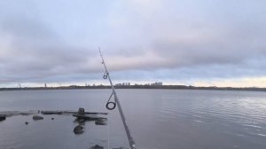 Рабочие Приманки на Окуня! Рыбалка на спиннинг, ловля окуня осенью с берега на джиг