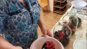 Не думала, что так много будет пыли. С ягодами покончено