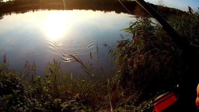 ЛОВЛЯ МЕРНОЙ ПЛОТВЫ НА РЫБАЛКЕ С НОЧЕВКОЙ Готовим УХУ, ловим ПЛОТВУ на АНИС! смотреть онлайн