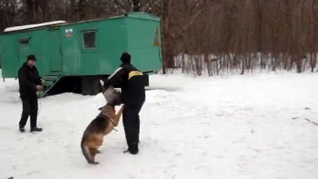 Хасандра кусачка смотреть онлайн