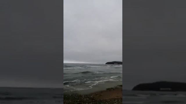 ?Владивосток . Бухта Шамора в ноябре #shorts #владивосток #море смотреть онлайн
