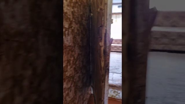 дом в деревне Орлинка смотреть онлайн