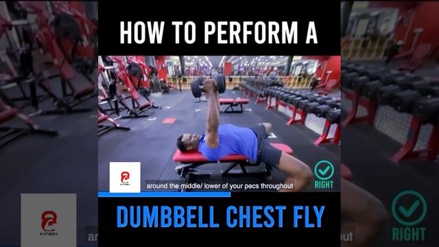 DUMBBELL CHEST FLY смотреть онлайн