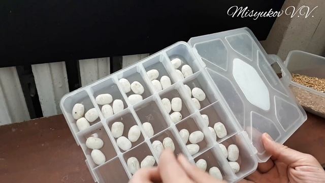 Начало сезона разведения птиц 2018 смотреть онлайн