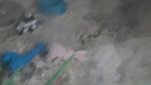 Поход в зоопарк Липецк часть 1 смотреть онлайн