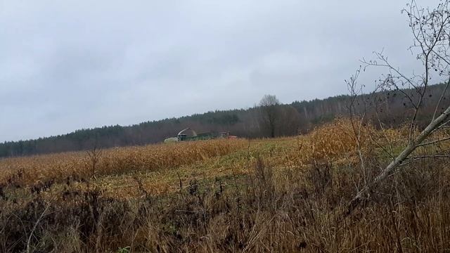 Уборка кукурузы в селе.Jaguar-850.Class-Xerion.Беларус-3522.ПС-60А смотреть онлайн