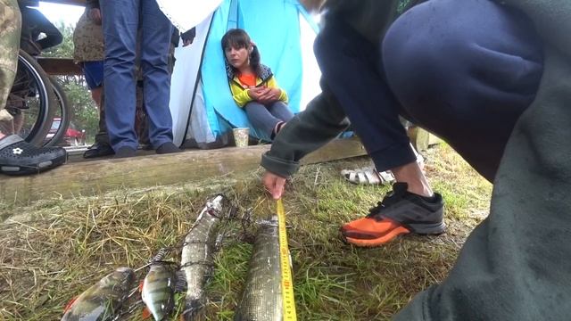 БОЛЬШАЯ РЫБАЛКА В БЕЛАРУСИ. Соревнования по ЛОВЛЕ ЩУКИ. День 2 смотреть онлайн