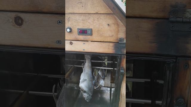 Пушистые Встречи