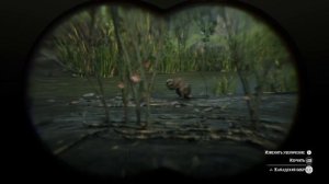 Превосходная Шкура Бобра. Red Dead Redemption 2.