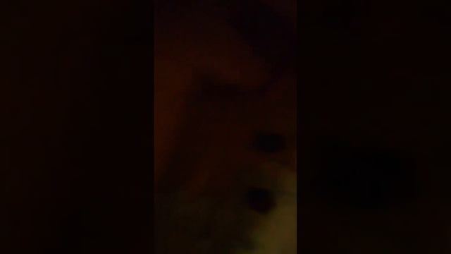 Зачем дети делают это с Лего? смотреть онлайн