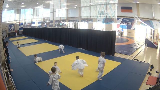 тренировка по дзюдо смотреть онлайн