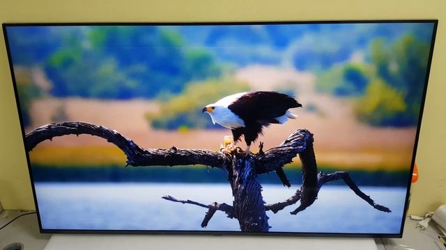 Телевизор 55" LG 55SM8600 две тонкие полосы смотреть онлайн
