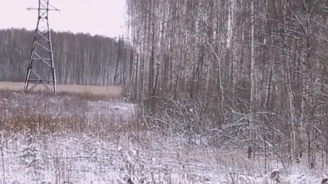 паракорд против бельевой верёвки.Лось. смотреть онлайн