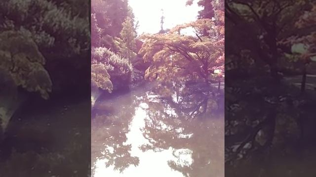 Bellagio - Lago Di Como _ ITALY