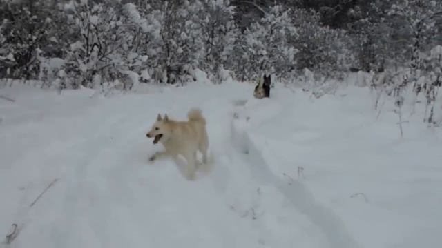 Охота и ещё немного. 30.12.2018 смотреть онлайн