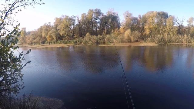 Гинеевка. Этюд выходного дня (часть 1) смотреть онлайн