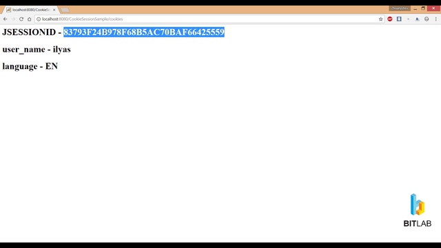 BITLAB JAVA EE 1 - Lesson 4 смотреть онлайн