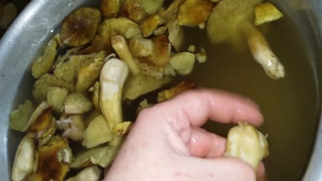 солим-квасим зеленухи смотреть онлайн