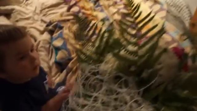 3-я Годовщина свадьбы смотреть онлайн