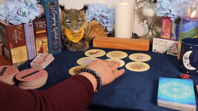?"THE PATH TO ABUNDANCE IS CLEAR!"?DAILY INSPIRATION TAROT & ORACLE MESSAGES смотреть онлайн