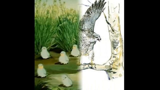 "Оранжевое горлышко" В. В. Бианки. Сказка смотреть онлайн