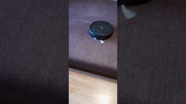 Тиффани боится высоты. РОБОТ-ПЫЛЕСОС TEFAL смотреть онлайн