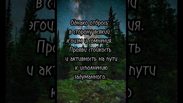 Руна дня смотреть онлайн