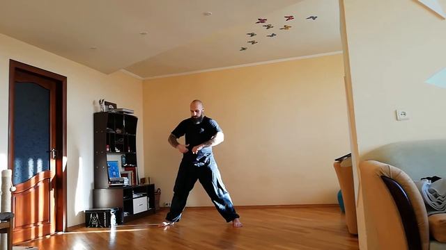 1.БАЗОВАЯ РАБОТА (ФИЗИЧЕСКОЕ ТЕЛО=ЗЕМЛЯ) - 2.Хо гун (оживление) - 3.Жоу (эластичность)