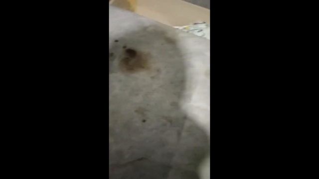 Химчистка дивана от крови смотреть онлайн