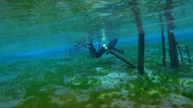 Невероятно красивое Голубое озеро в Казани! Прозрачность воды впечатляет! смотреть онлайн