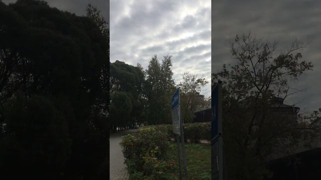 Колокольный звон 3.