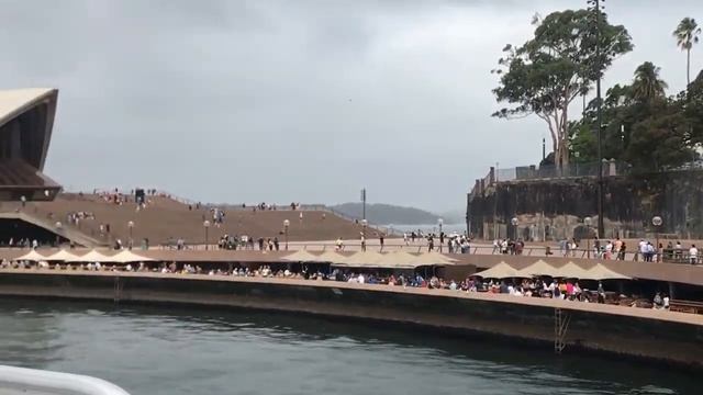 Circular Quay to Manly Wharf by Ferry смотреть онлайн